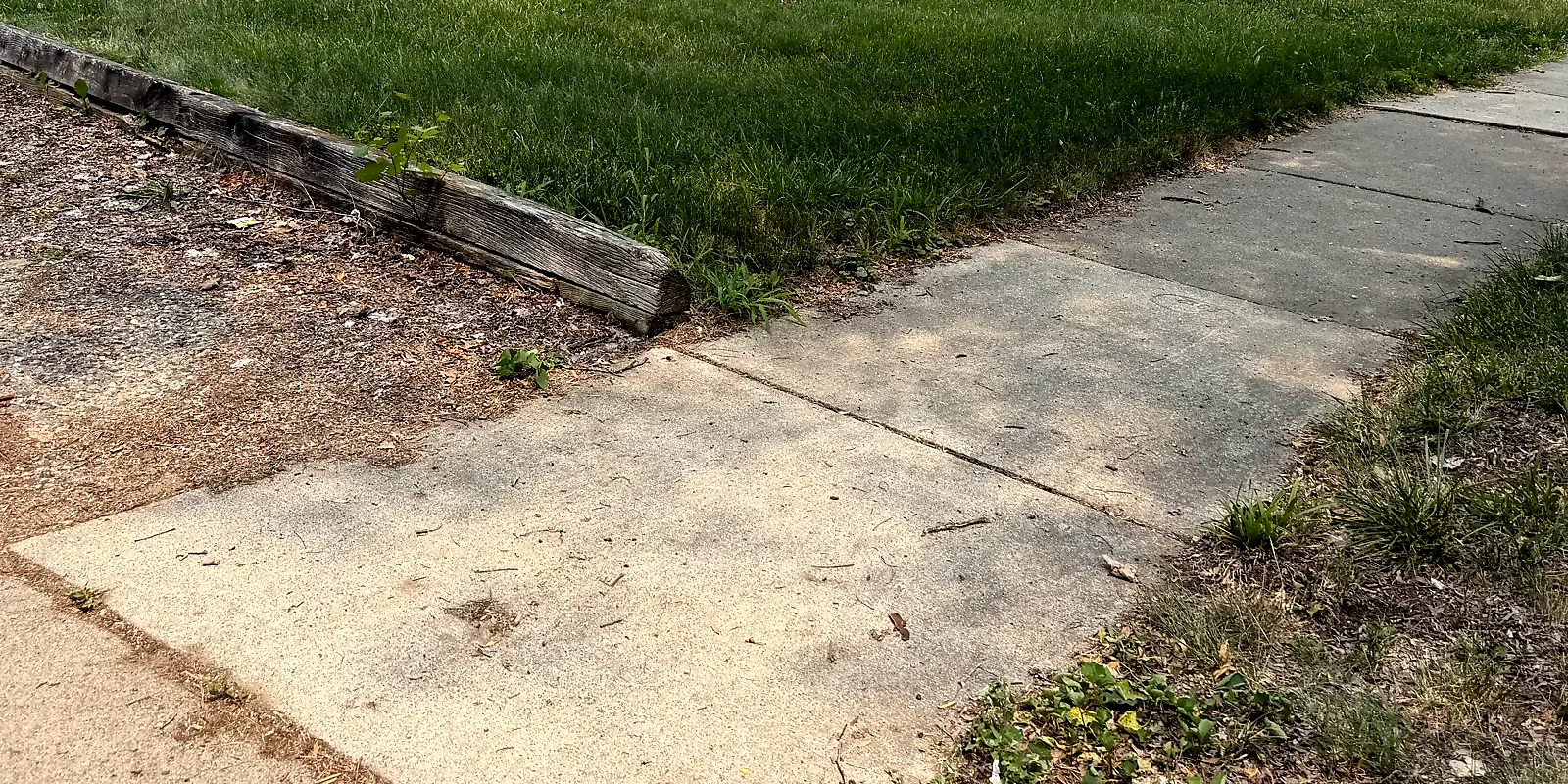 Trimmed residential lawn and clearer sidewalk edge in Oak Park after cleanup