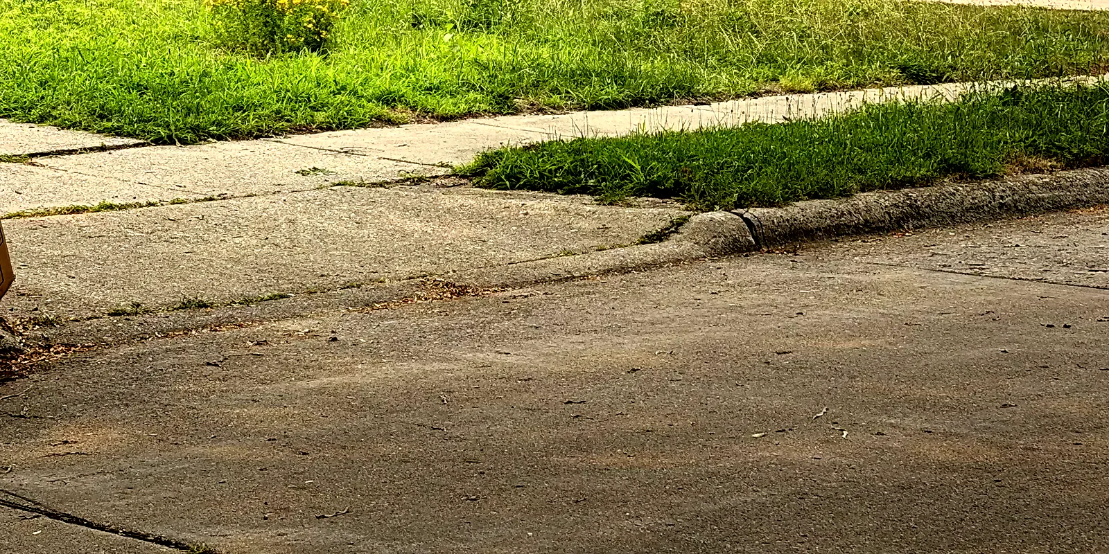 Long grass beside a residential sidewalk in Oak Park before lawn cleanup